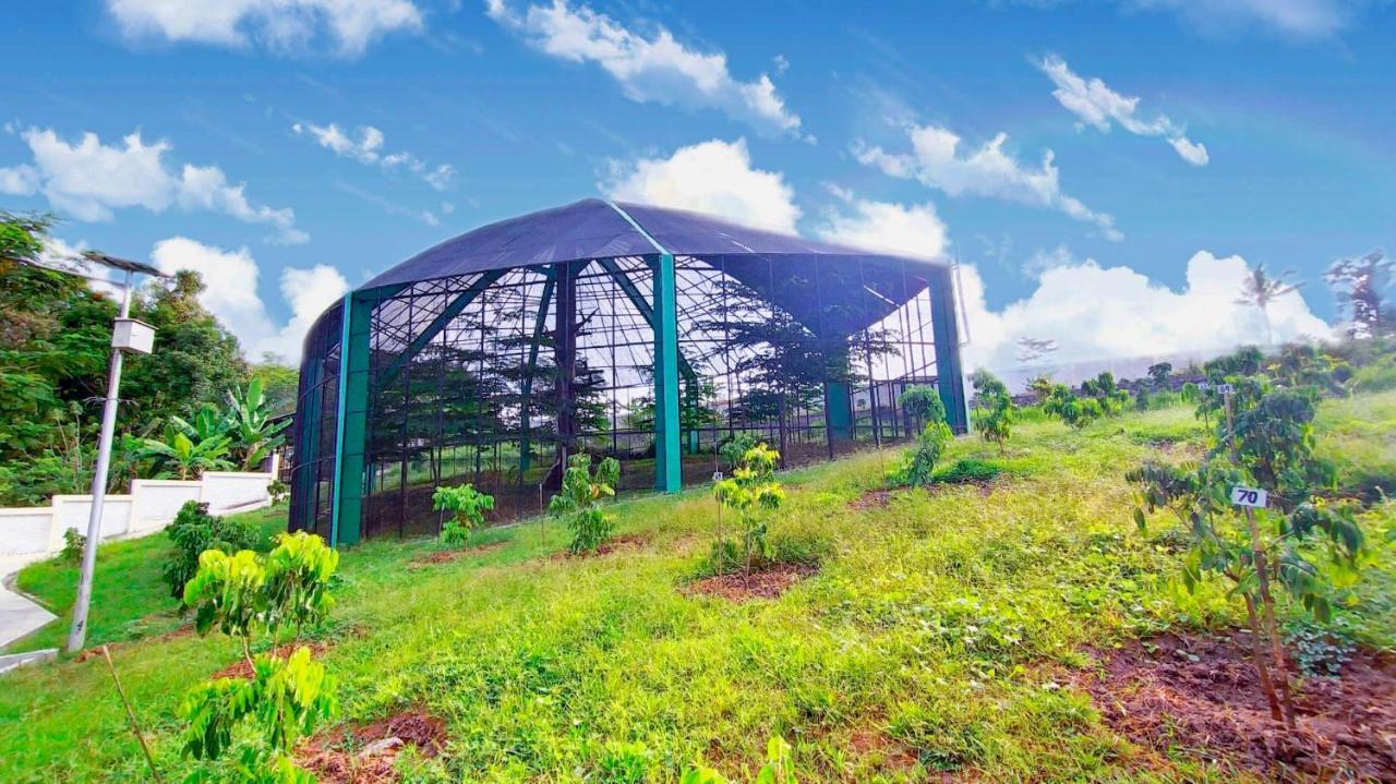Kasuari Exotic Resort 马格朗 外观 照片