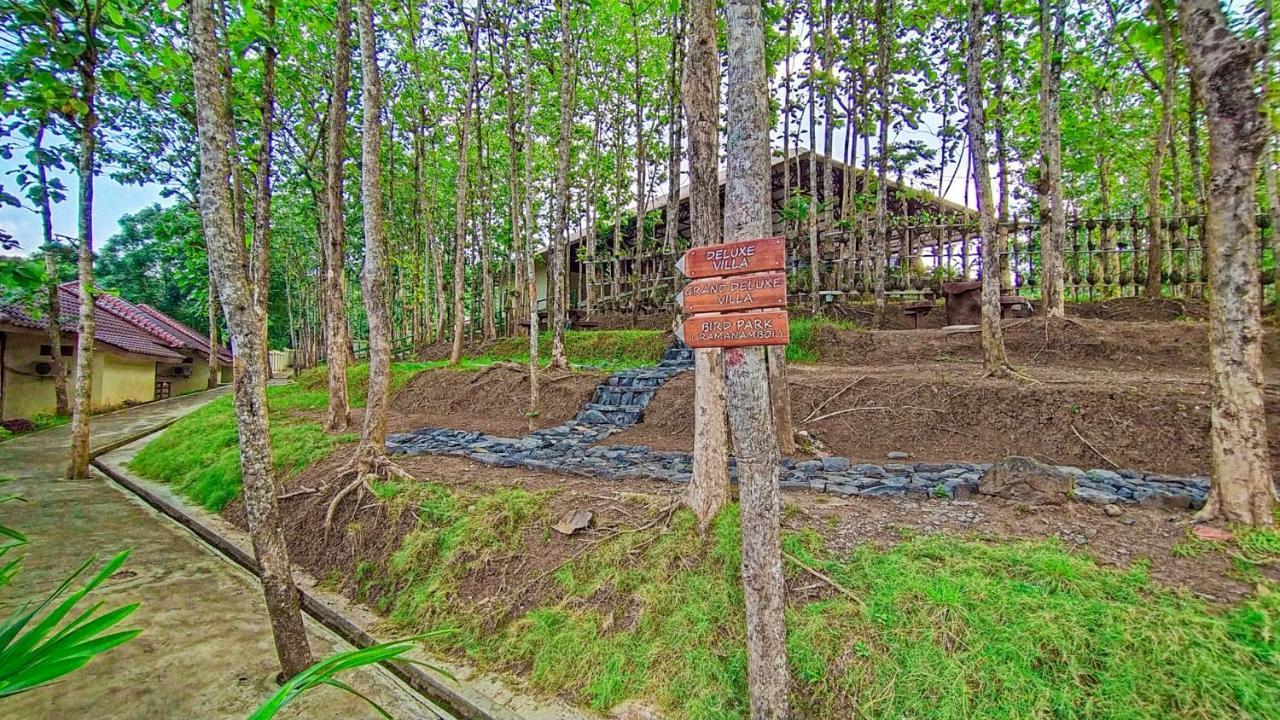 Kasuari Exotic Resort 马格朗 外观 照片