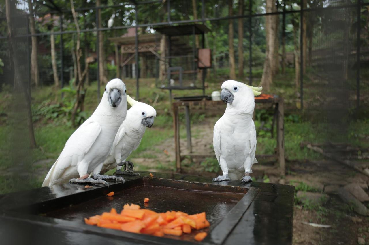Kasuari Exotic Resort 马格朗 外观 照片